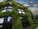 Entreprises et Biodiversité - Bedrijven en Biodiversiteit